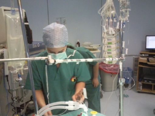  anesthesia